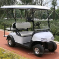 electric golf carts buggy for golf club